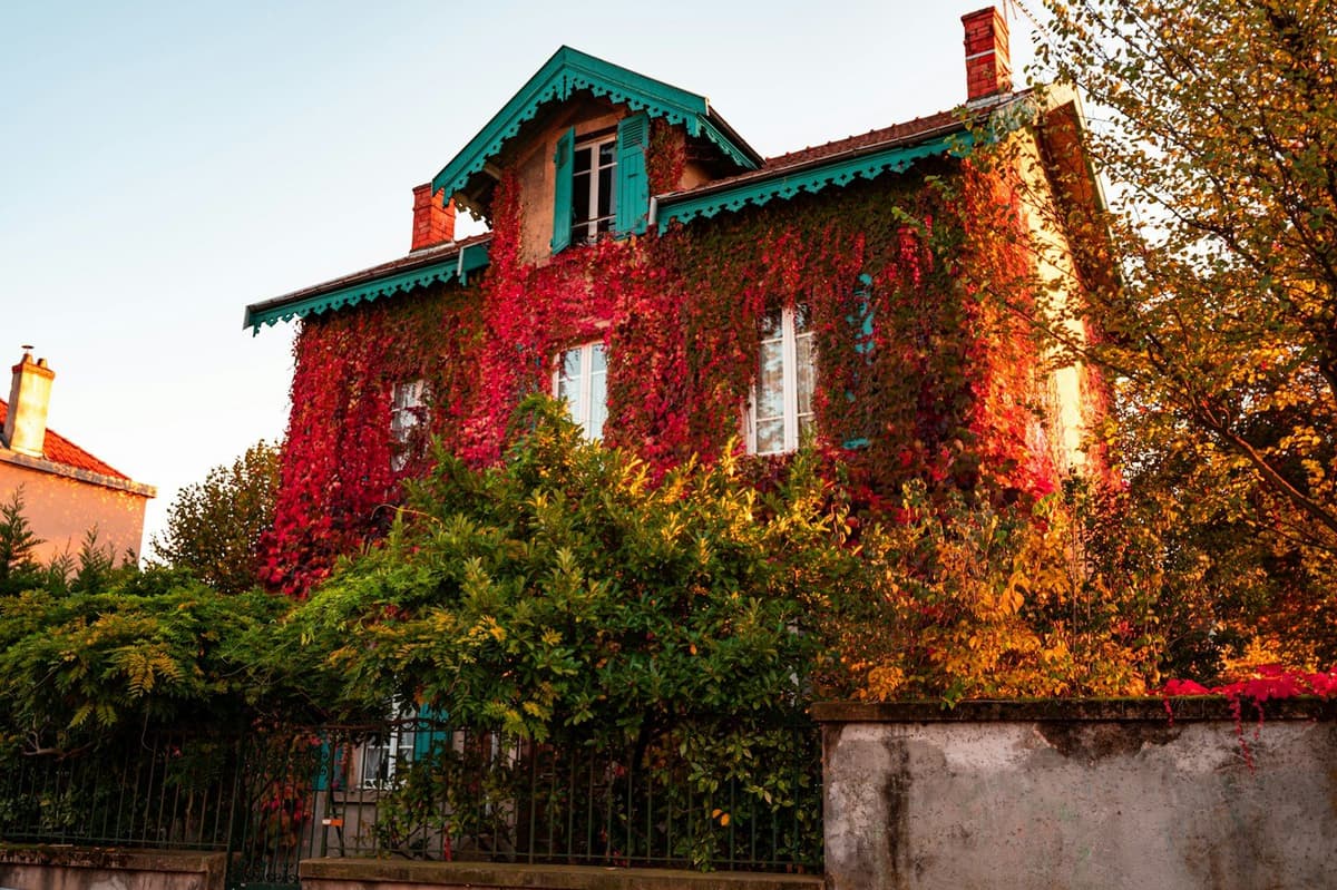 a house covered in red and green vines